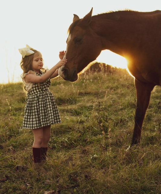 Mamma, andiamo a cavallo?