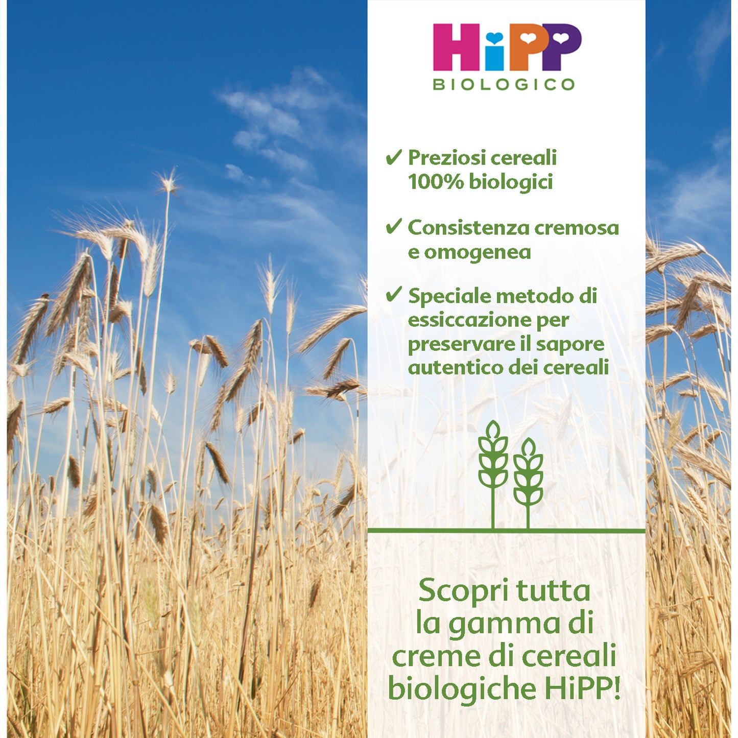 Hipp - Crema Di Mais, Grano Saraceno E Avena: Confezione 200 gr