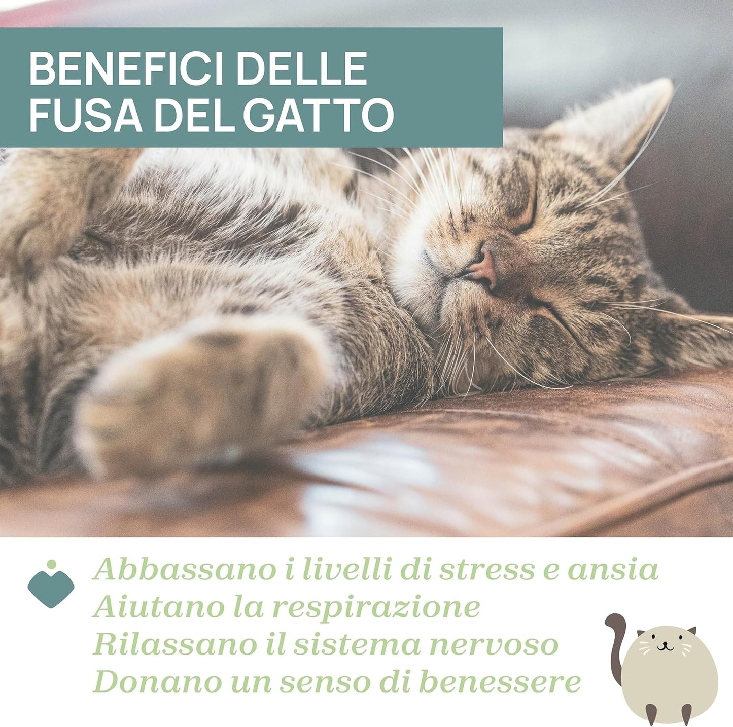 Chicco - Gattino Dolci Fusa