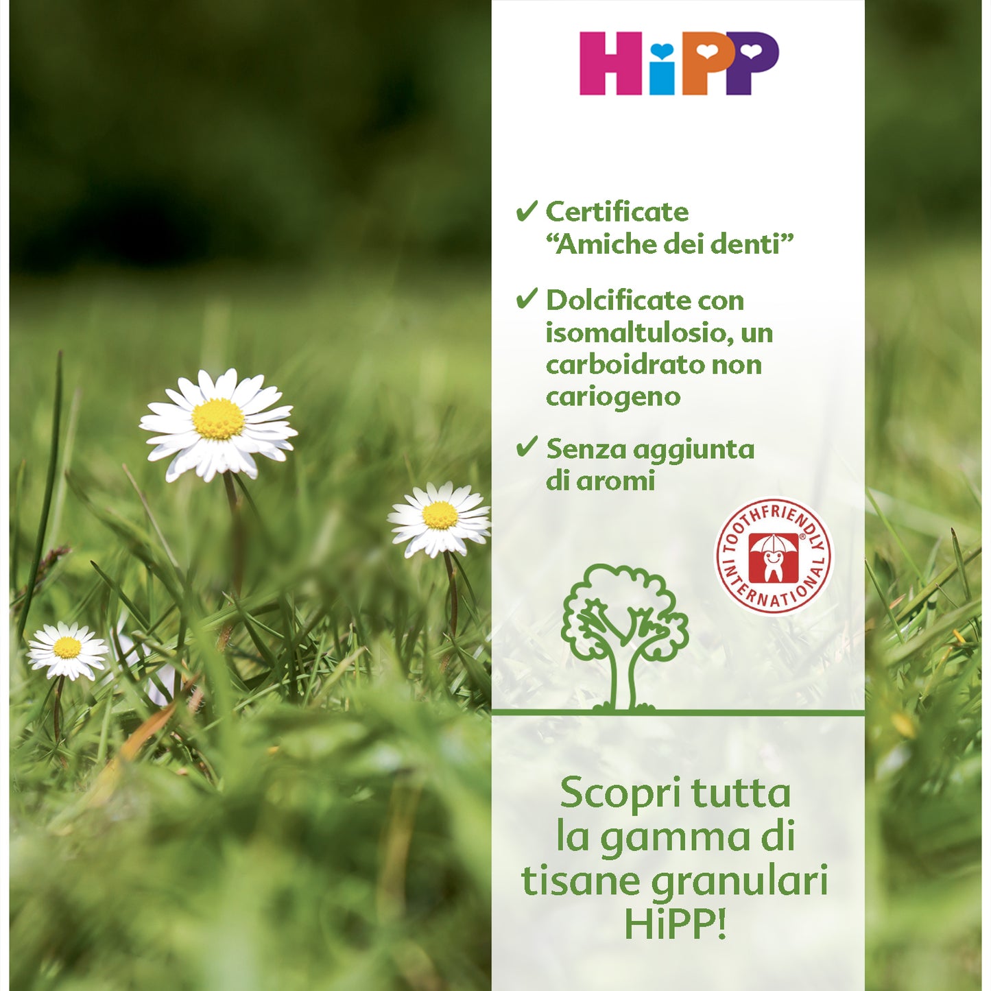 Hipp Chamomile 200gr