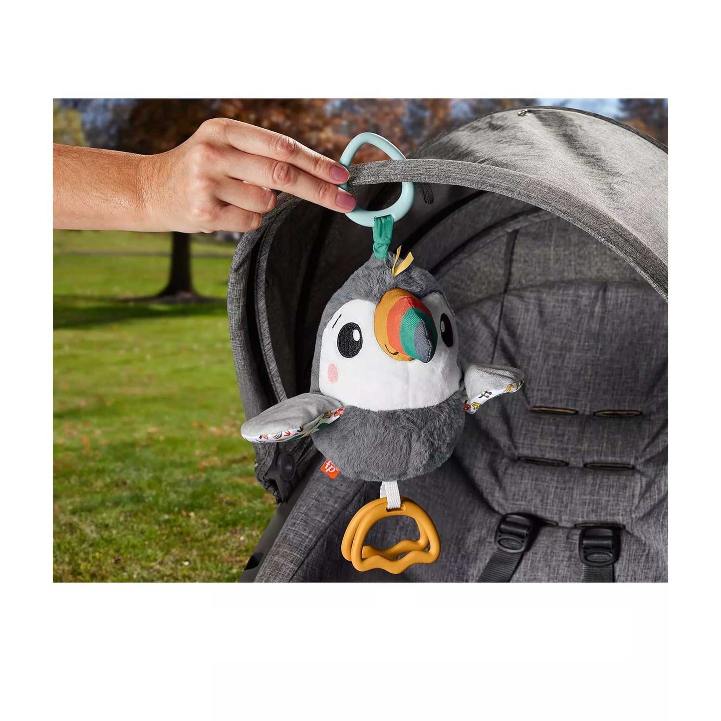 Fisher Price - Flap N Go Toucan