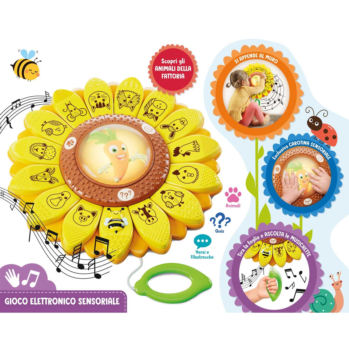 Lisciani - Carotina Il Girasole Educativo