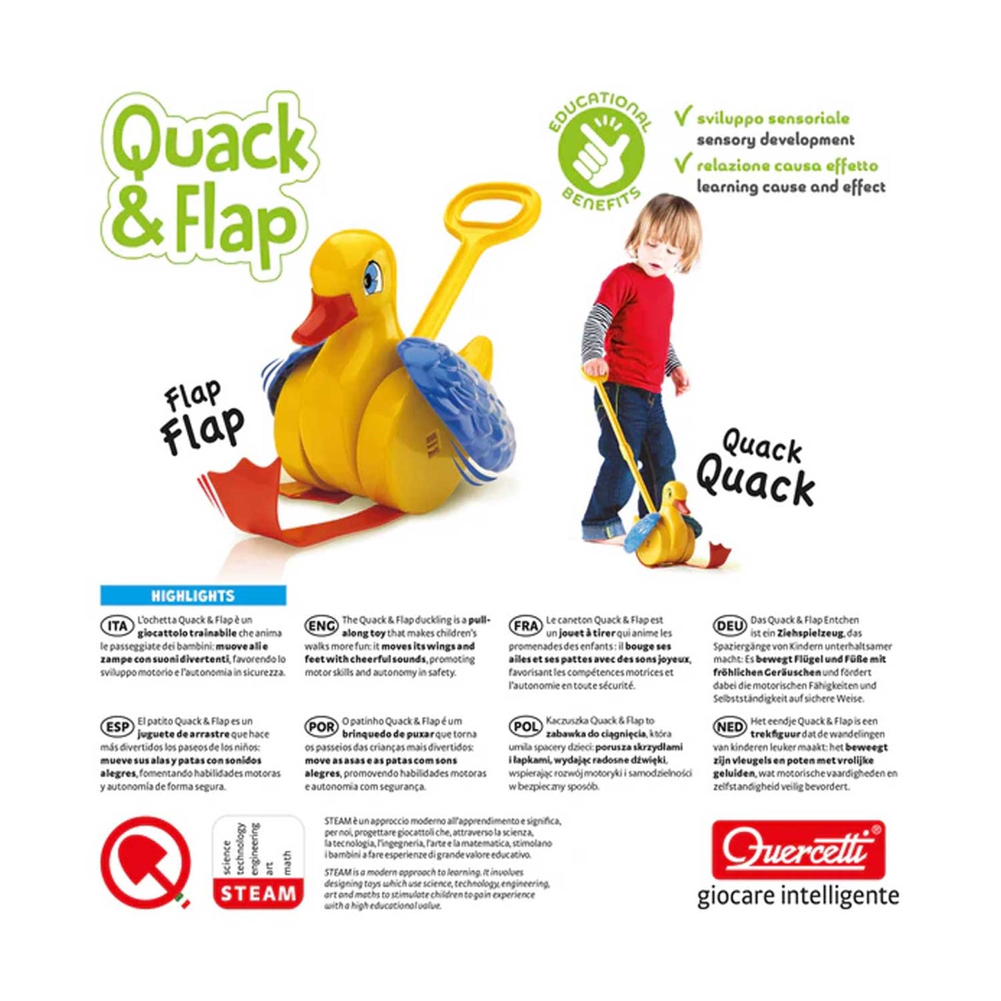 Quercetti - Quack & Flap