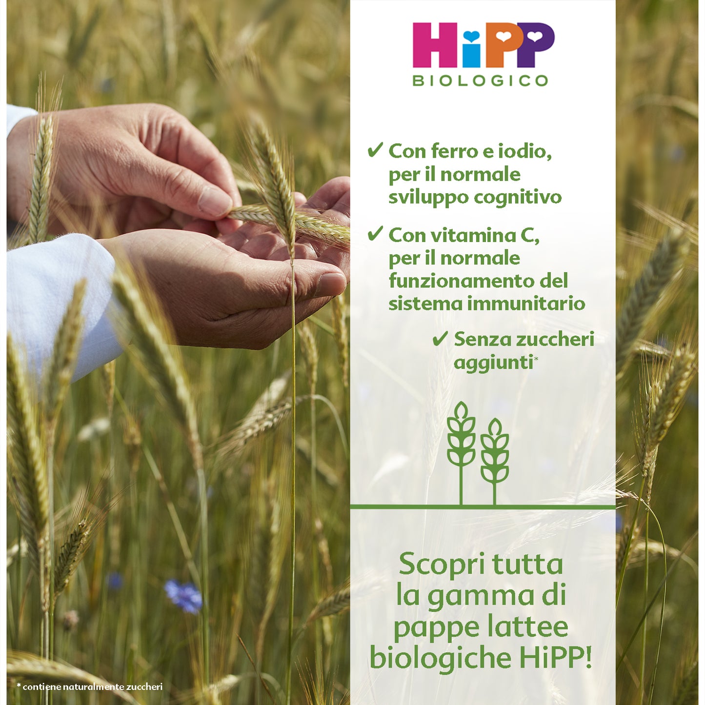 Hipp - Pappa Lattea Mela: Confezione 250 gr