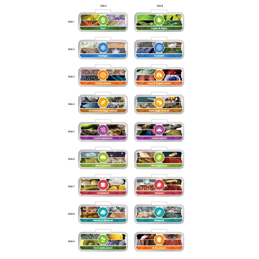 Vtech - Youth Video Microscopio Interattivo