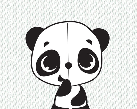 Collezione Black & White Décor