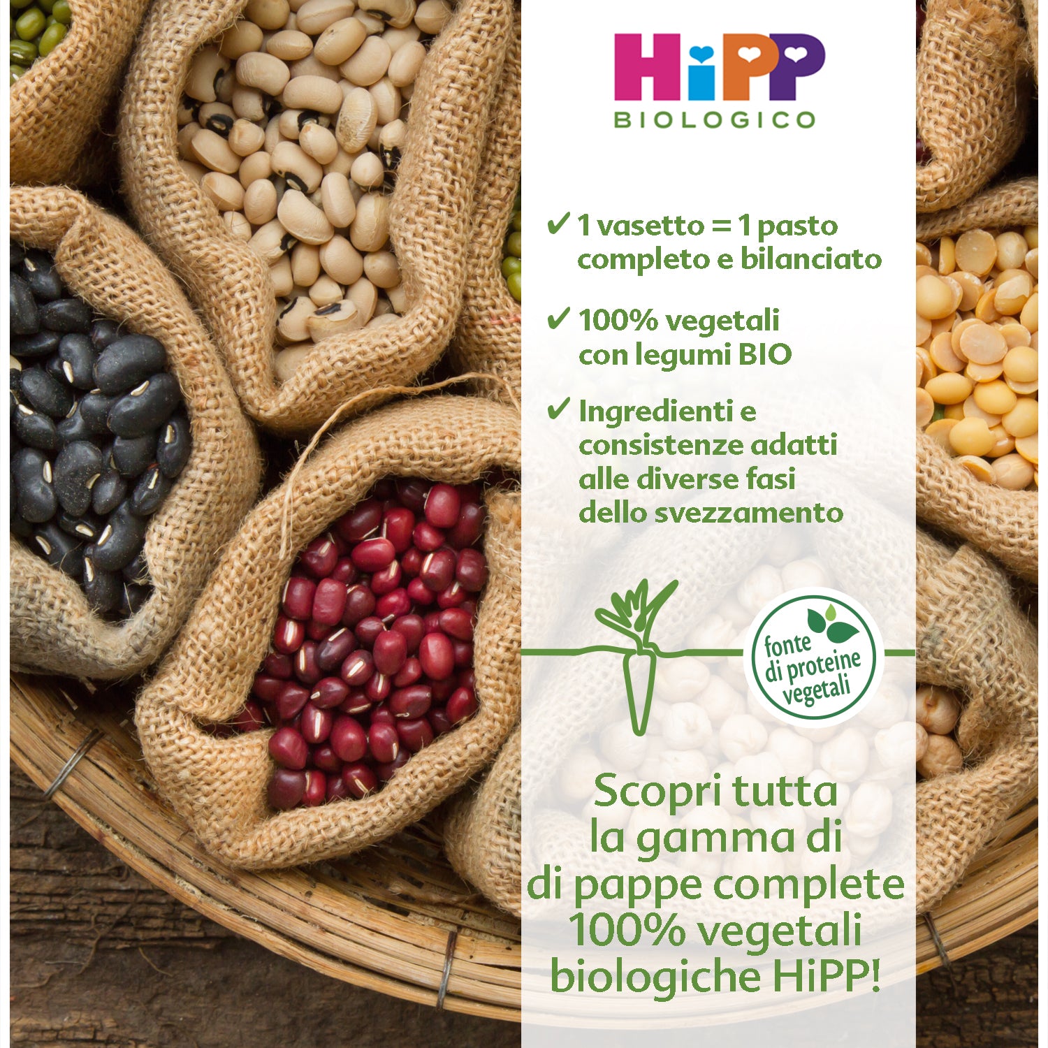 Assortment of HiPP organic baby food showcasing a variety of legumes in burlap sacks. 
