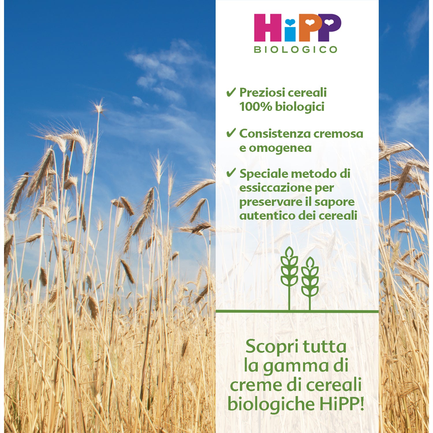 Hipp - Crema Di Farro: Confezione 200 gr