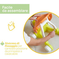 Chicco - Primi Passi Tartaruga 2 in 1