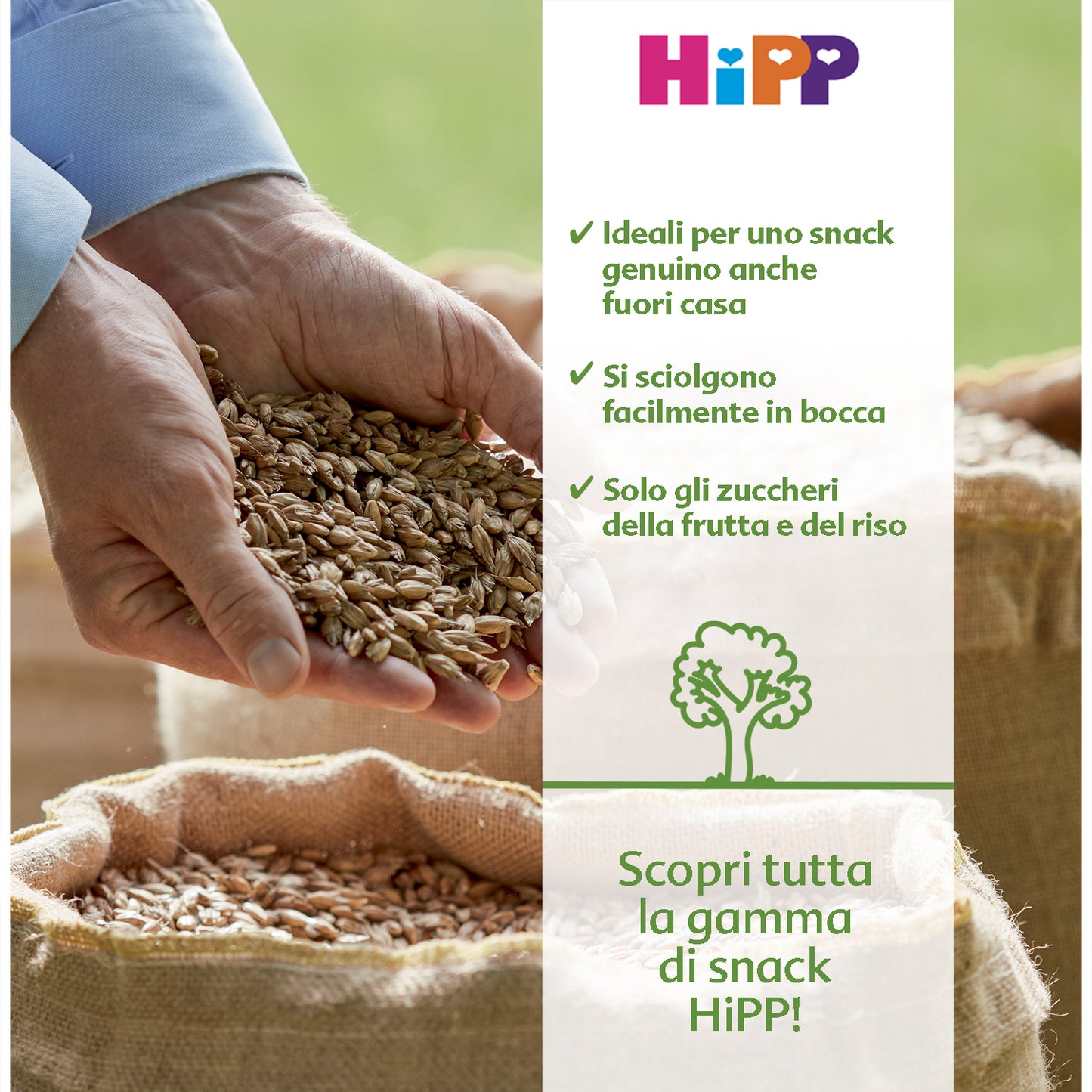 Hipp - Gallette Di Riso Mirtillo: Confezione 35 gr