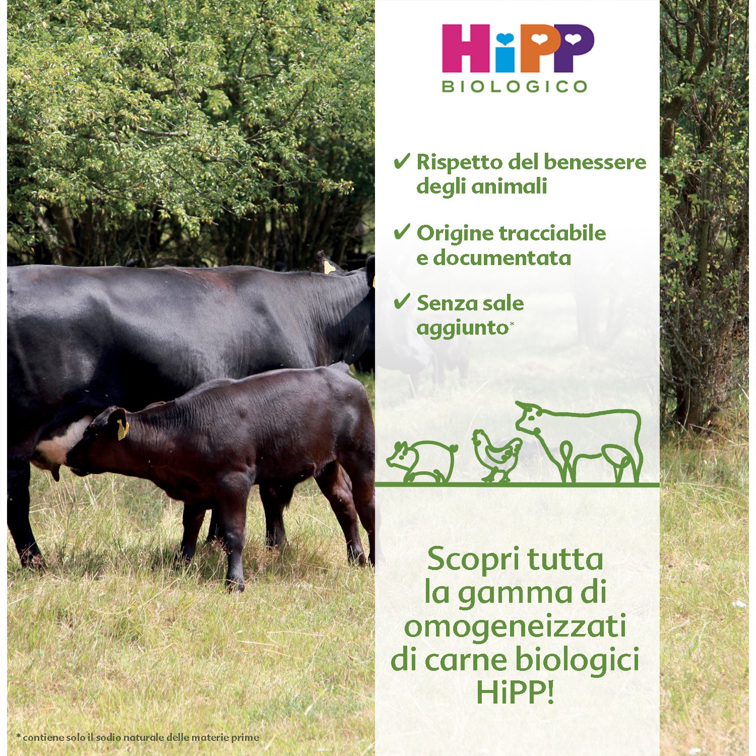 Hipp - Omogeneizzato Pollo: Confezione Multipack 4x80 gr