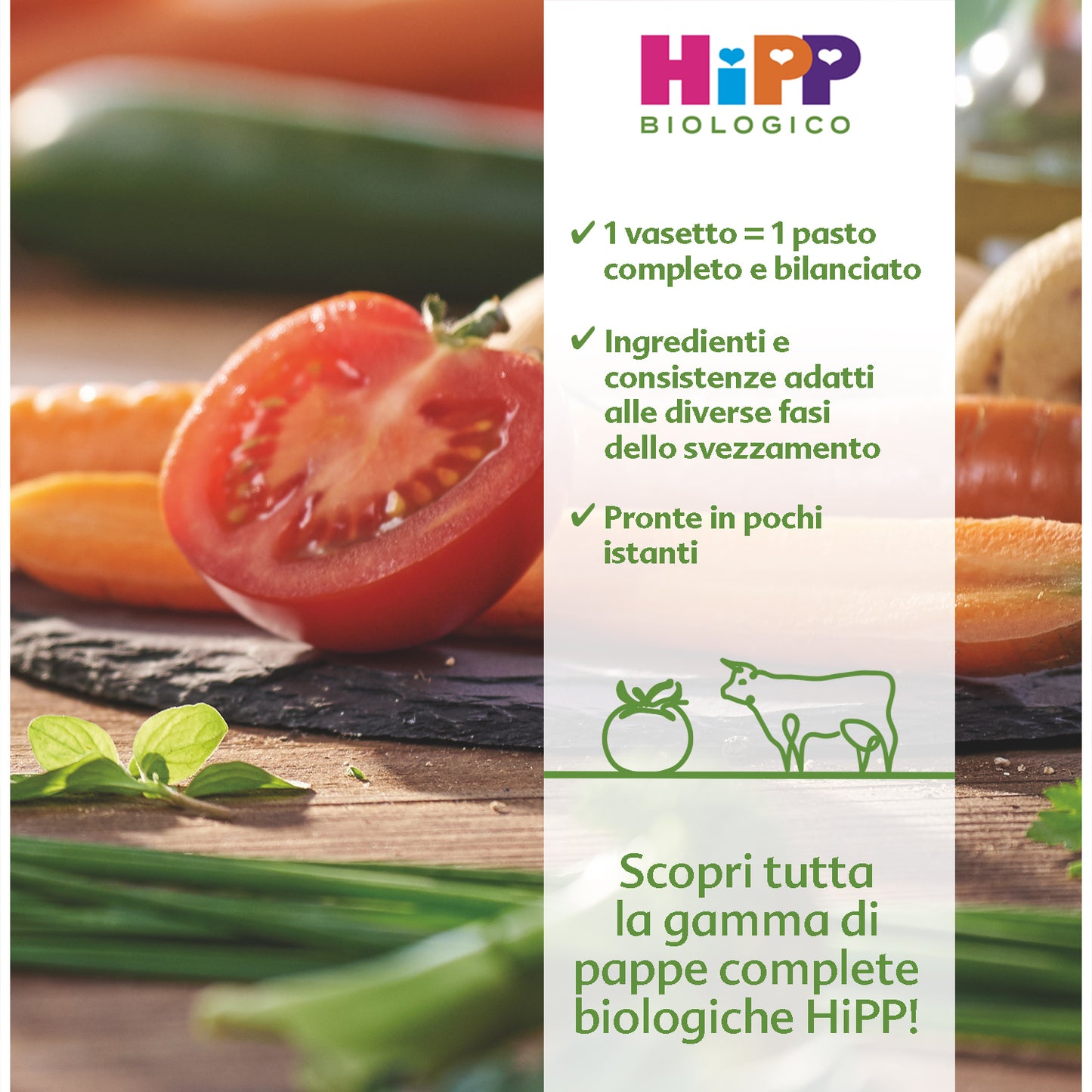 Hipp - Pappa Pronta Pastina Con Tris Di Verdure: Confezione 190 gr