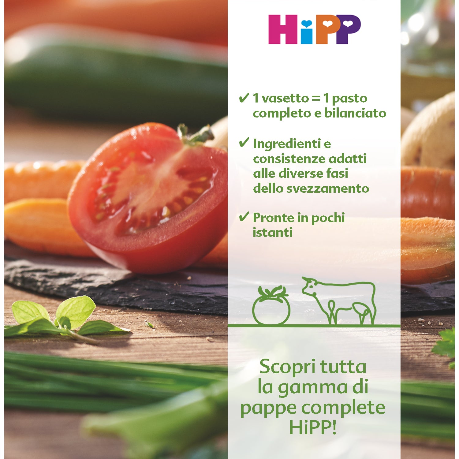 Hipp - Pappa Pronta Riso Carote Salmone: Confezione 220 gr