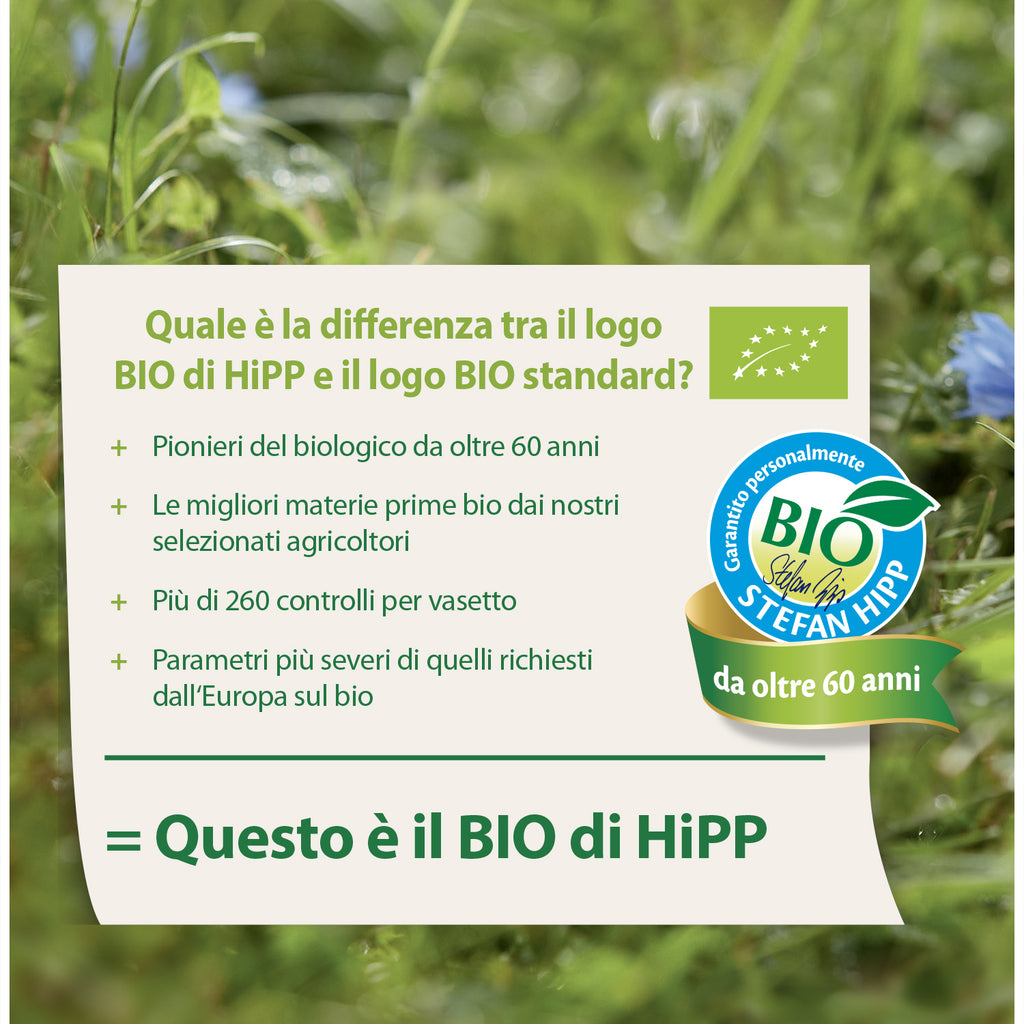 Hipp Stelline Fruit Cereals 30gr