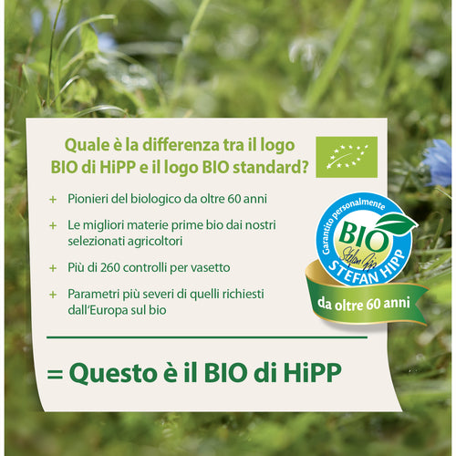 Hipp - Frutta Frullata Mela Banana Mango + Latte Di Cocco E Avena 90gr