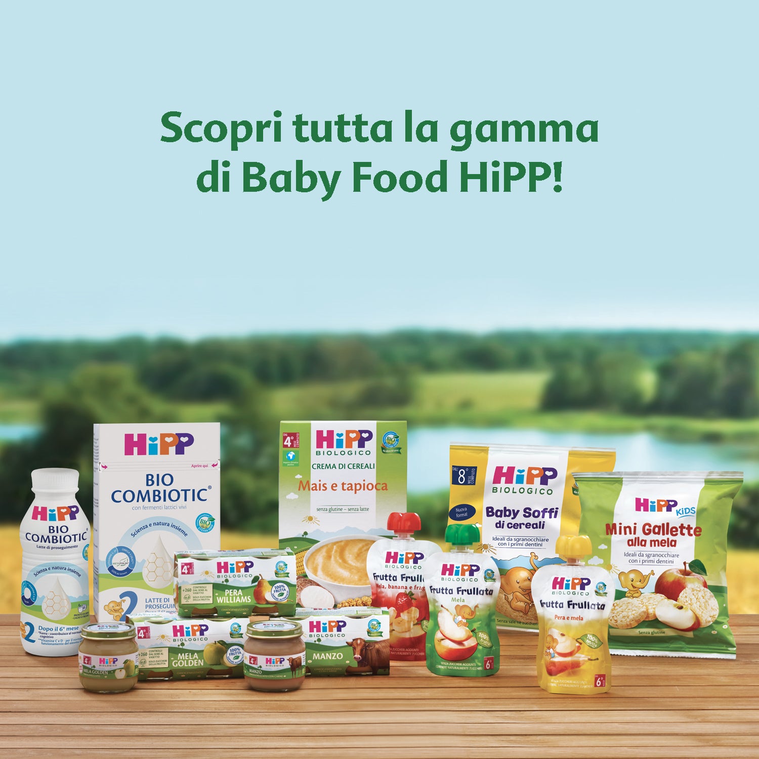 Hipp Apple Rice Cakes 35gr