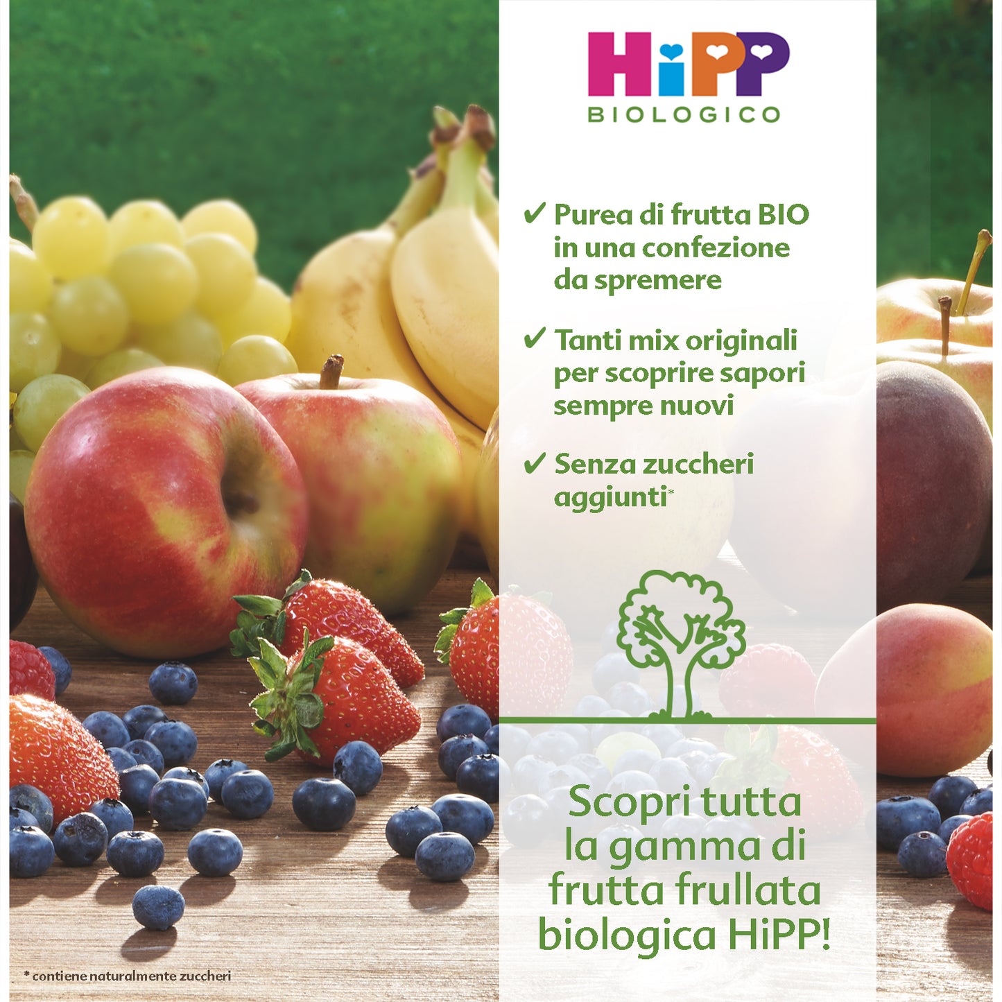 Hipp - Frutta Frullata Plus Mela, Pesca, Mango, Ananas Con Zinco 90 gr