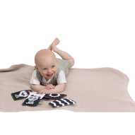 Chicco - Baby Sense & Focus Carte Bianco E Nero