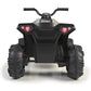 Feber - Quad Boxer 12V