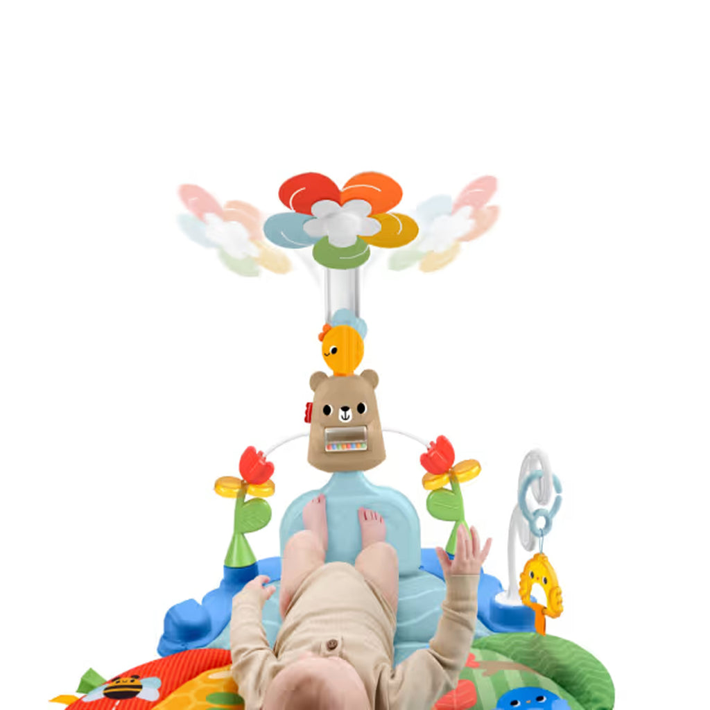 Fisher Price - Palestrina Baby Fitness 3 In 1 HYR60