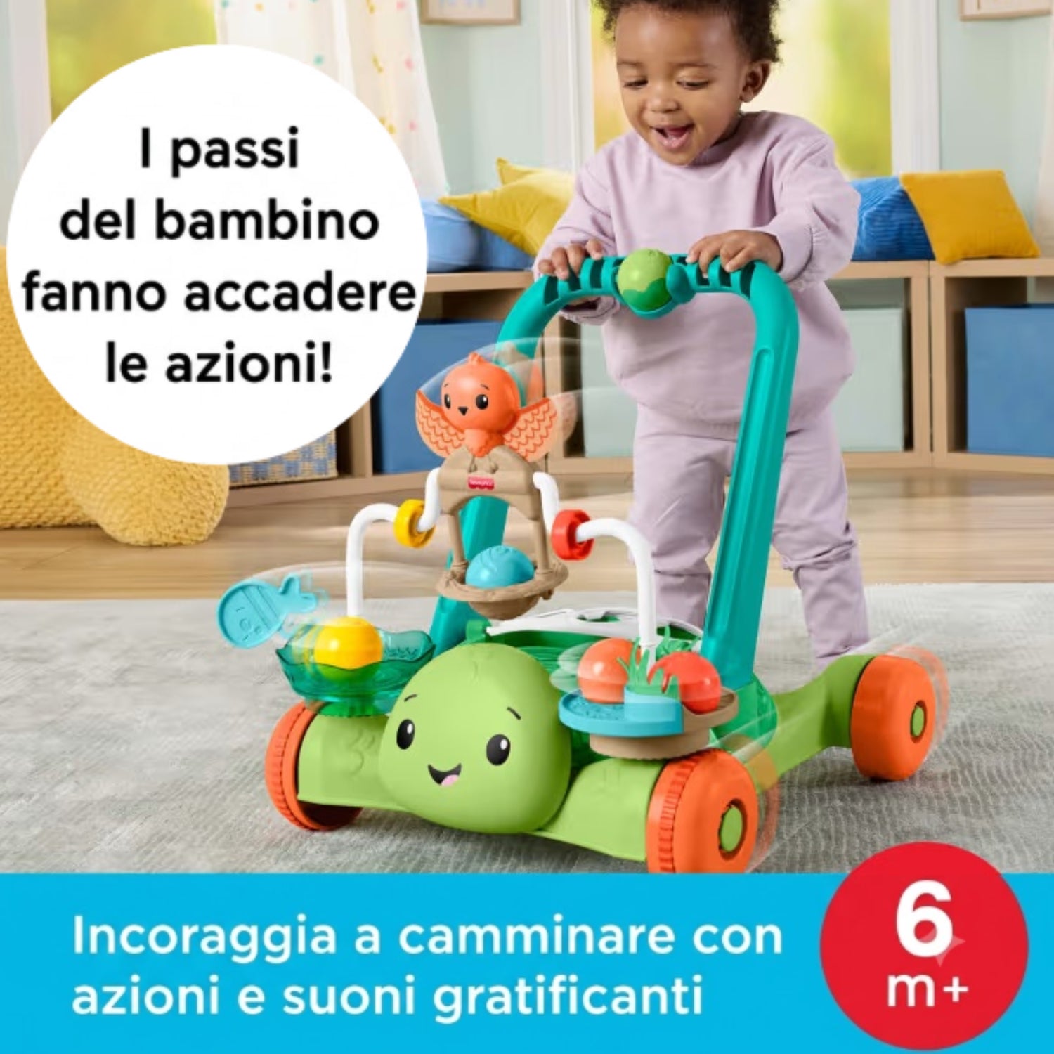 Fisher Price - Tartaruga Primi Passi JKD63