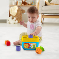 Fisher-Price - FFC84 Assorted Blocks