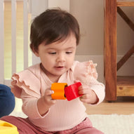 Fisher-Price - FFC84 Assorted Blocks