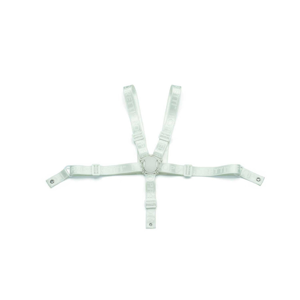 Foppapedretti - Seggiolone Evolutivo Tiramisù + Imbottito + Protezione + Vassoio + Cinture in Offerta!