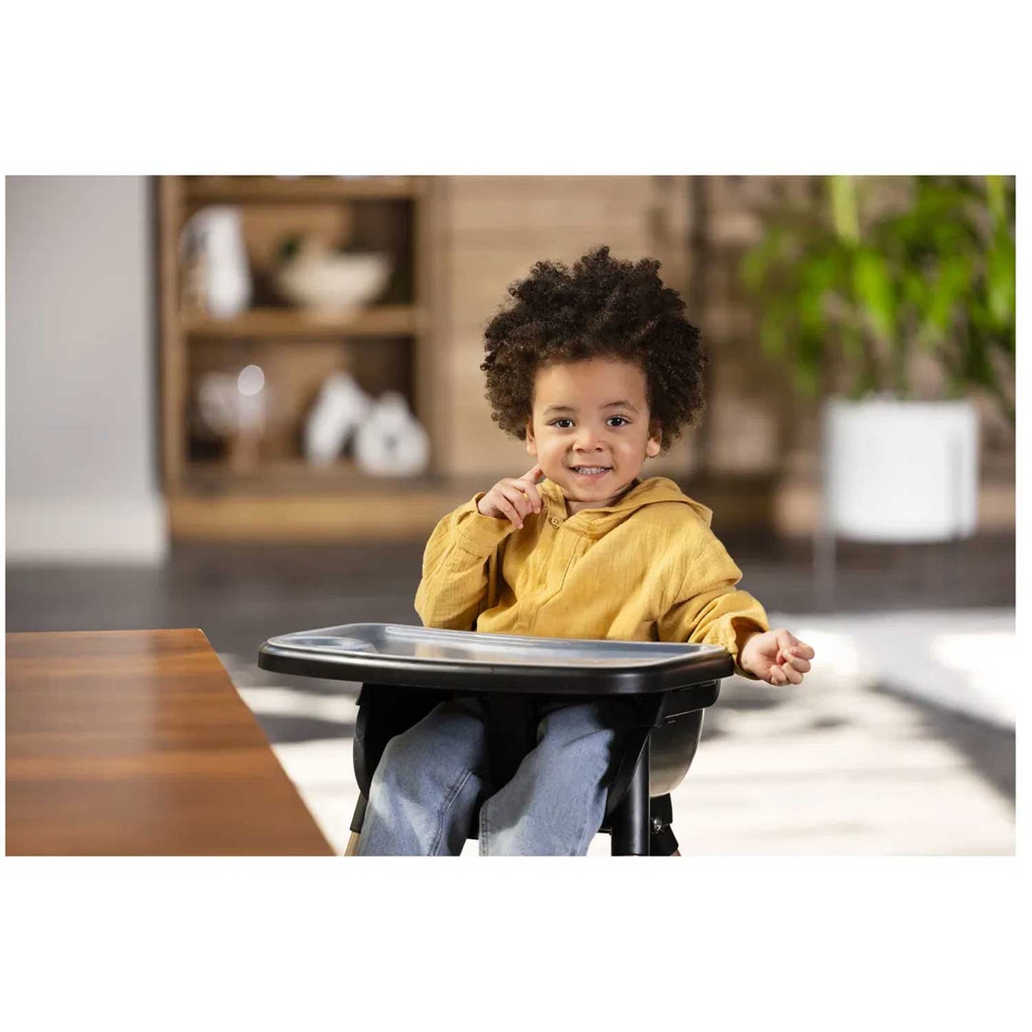 Graco - Seggiolone Pappa Presti 3in1