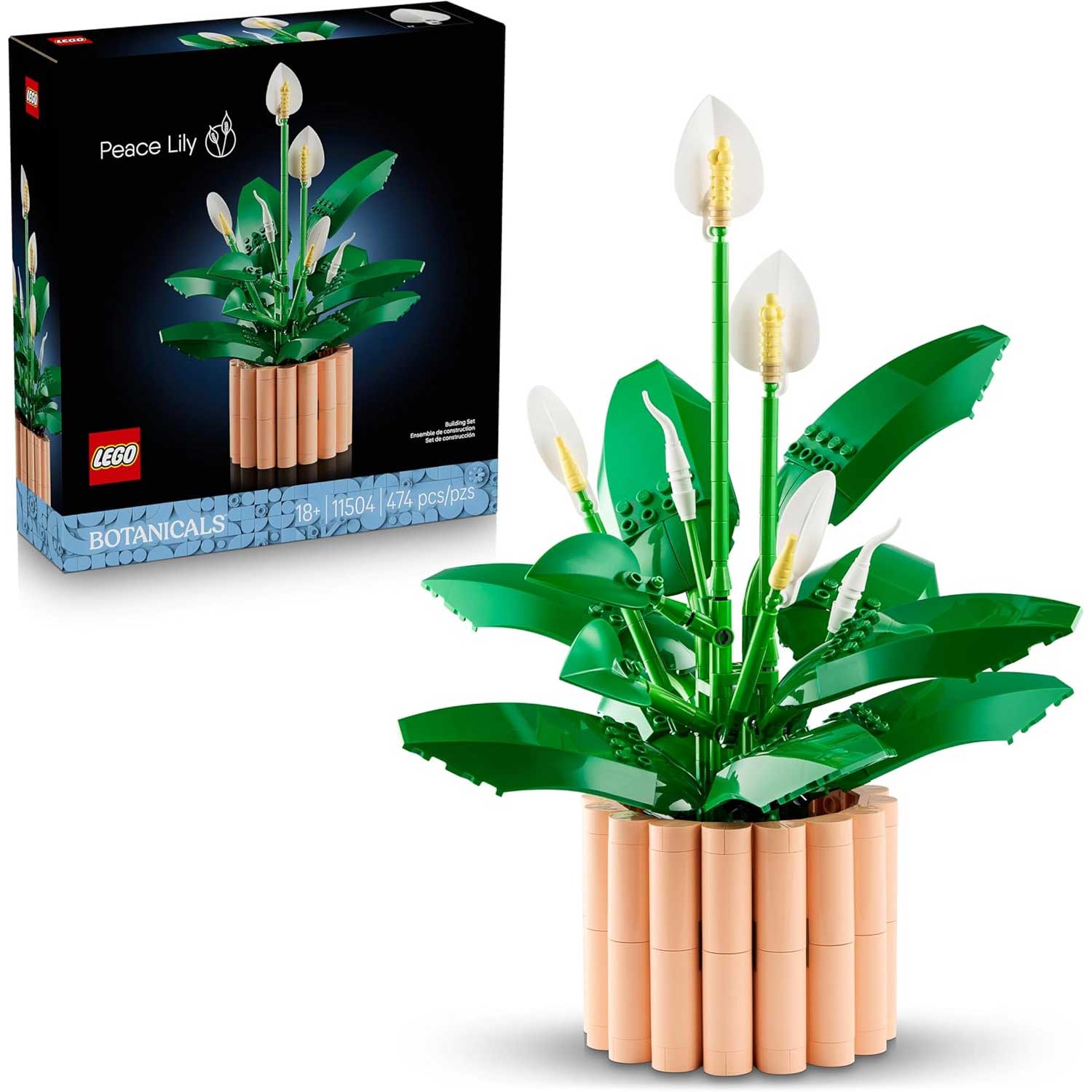 LEGO - Botanicals Spatifillo 11504