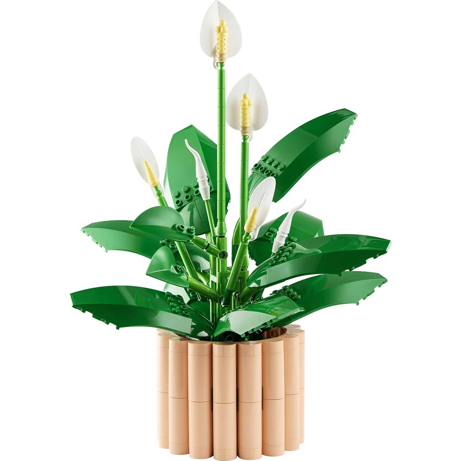 LEGO - Botanicals Spatifillo 11504