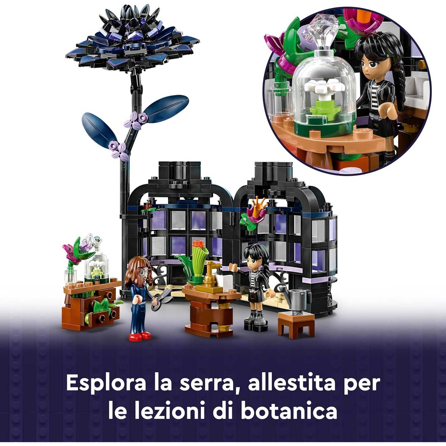 Lego - Wednesday Fiore Di Dalia Nero 76784