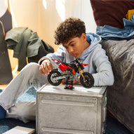 Lego - Technic Moto Ducati Desmo 450 MX Factory 42238