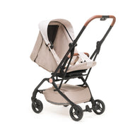 Bear Cub passeggino 360° reversibile