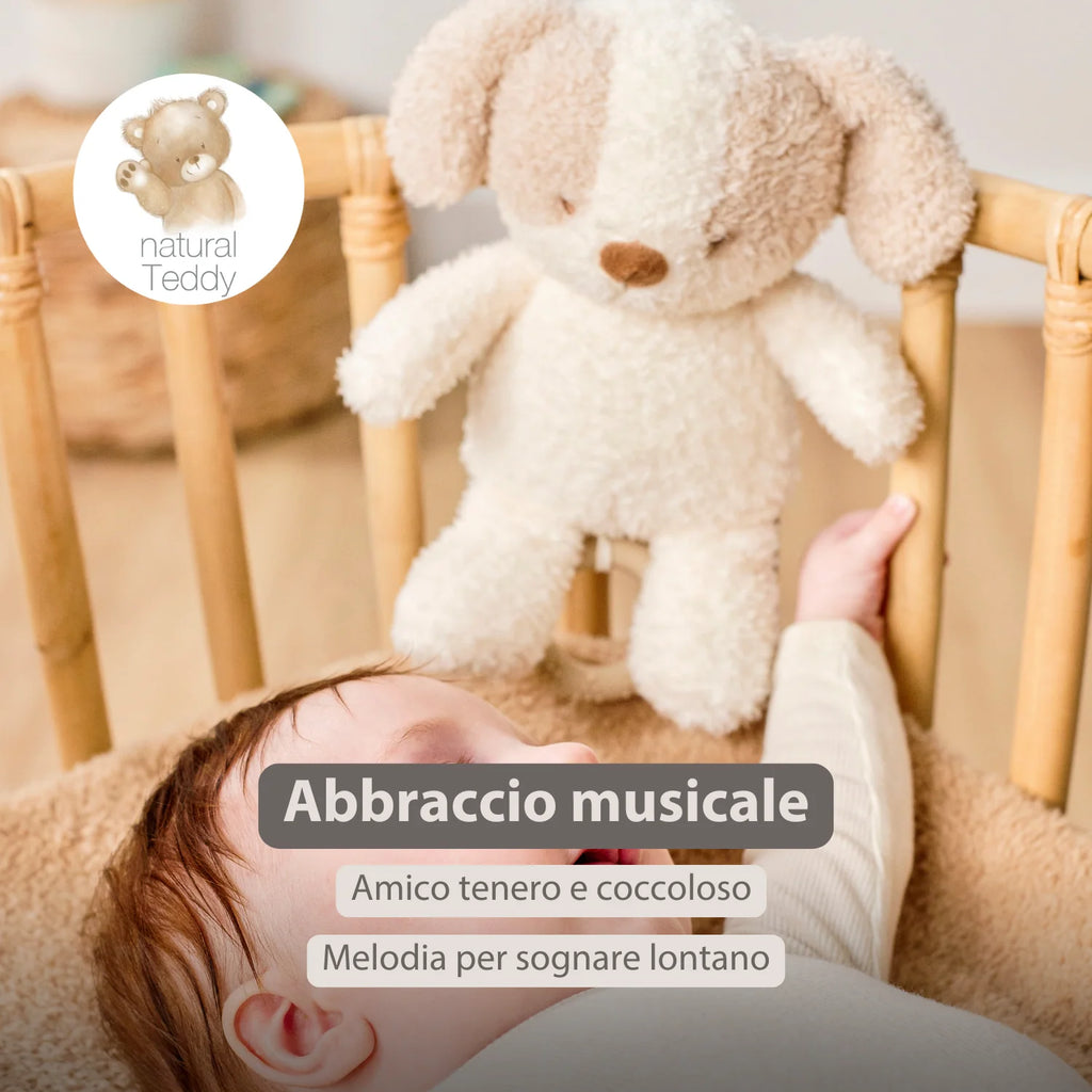 Nattou - Teddy Carillon Cane Ps26 C
