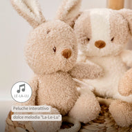 Nattou - Teddy Carillon Coniglio Ps26 C