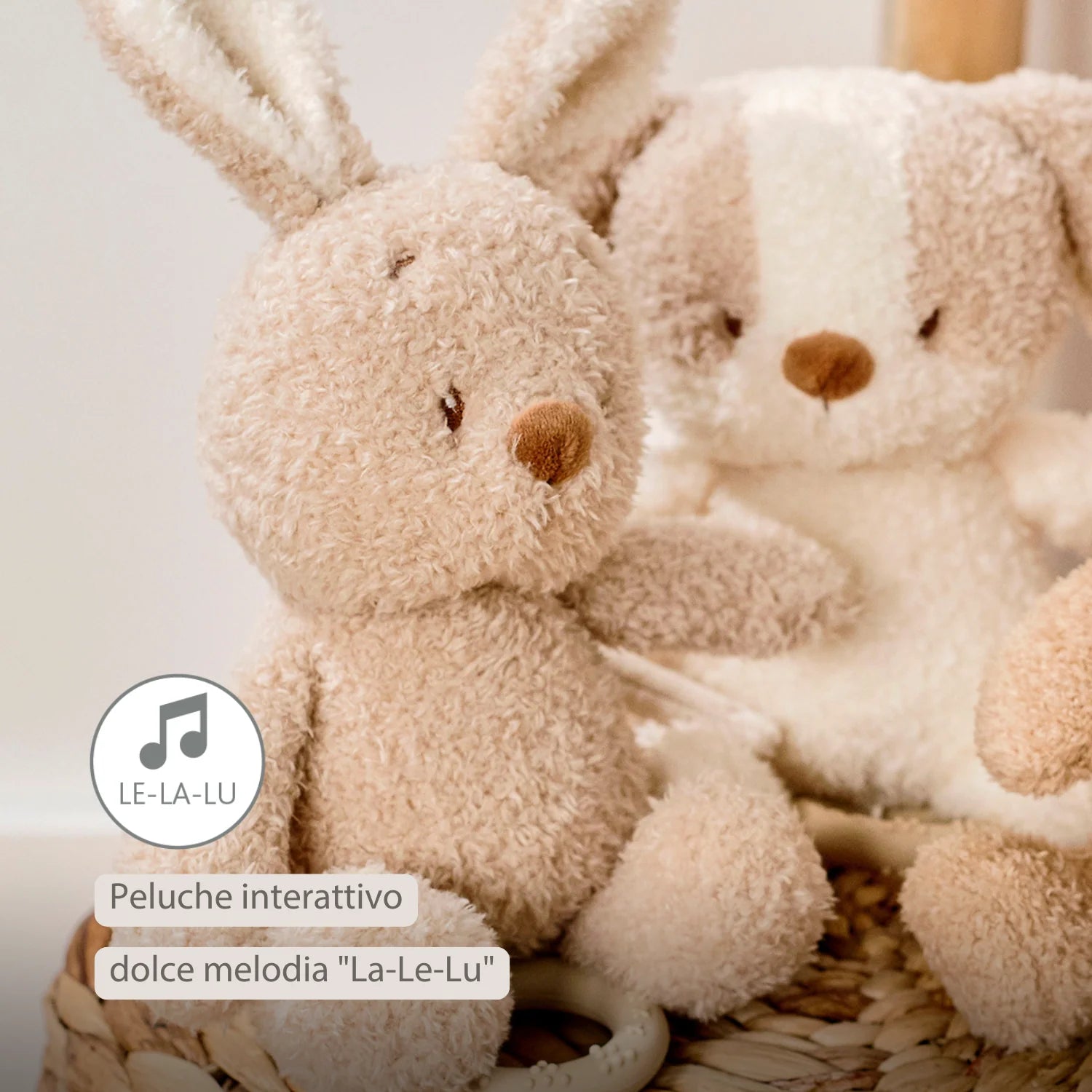 Nattou - Teddy Carillon Coniglio Ps26 C