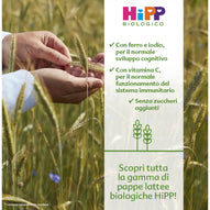 Hipp - Pappa Lattea Biscotto: Confezione 250 gr