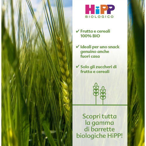Hipp - Barrette Viva La Frutta Con Banana Lamponi Cereali: Confezione 23 gr