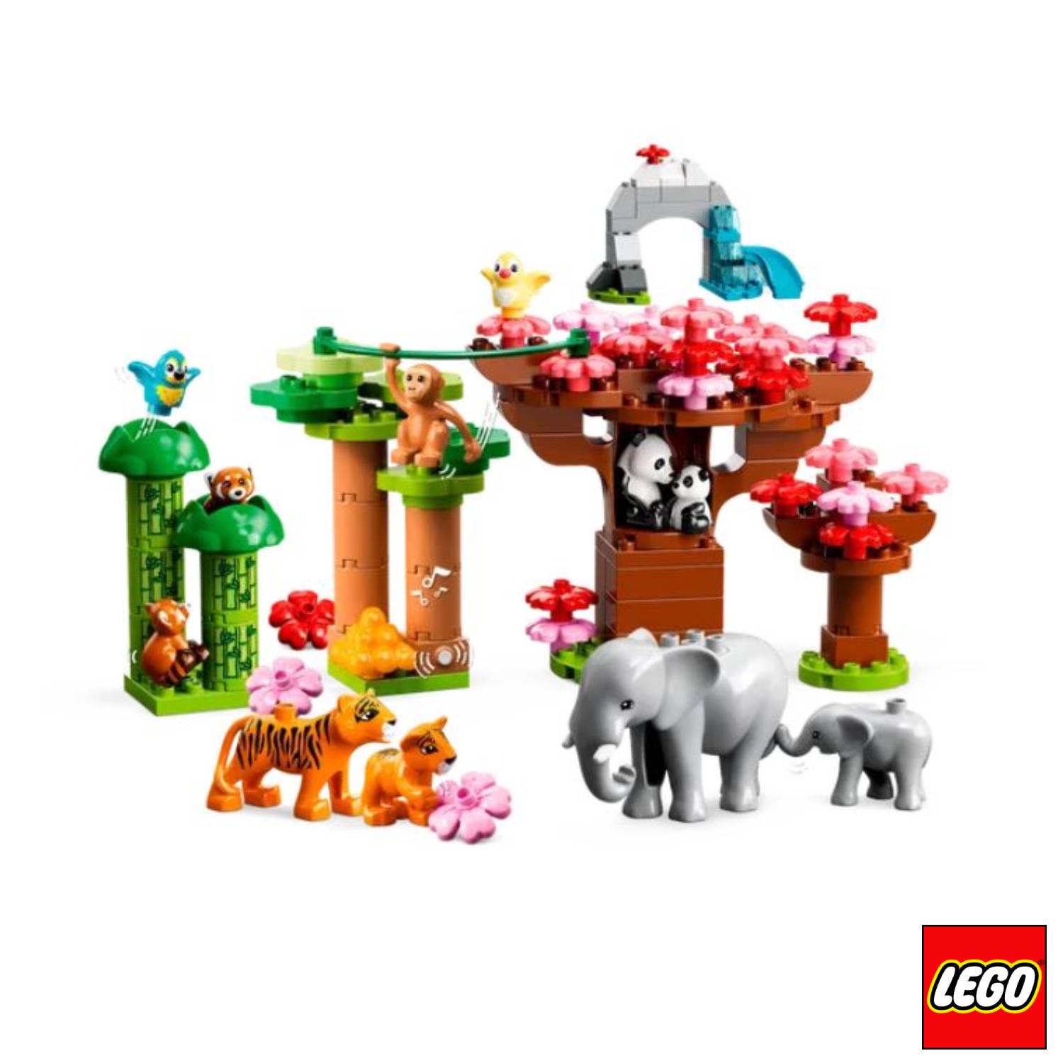 Lego - Duplo Animali dell'Asia 10974