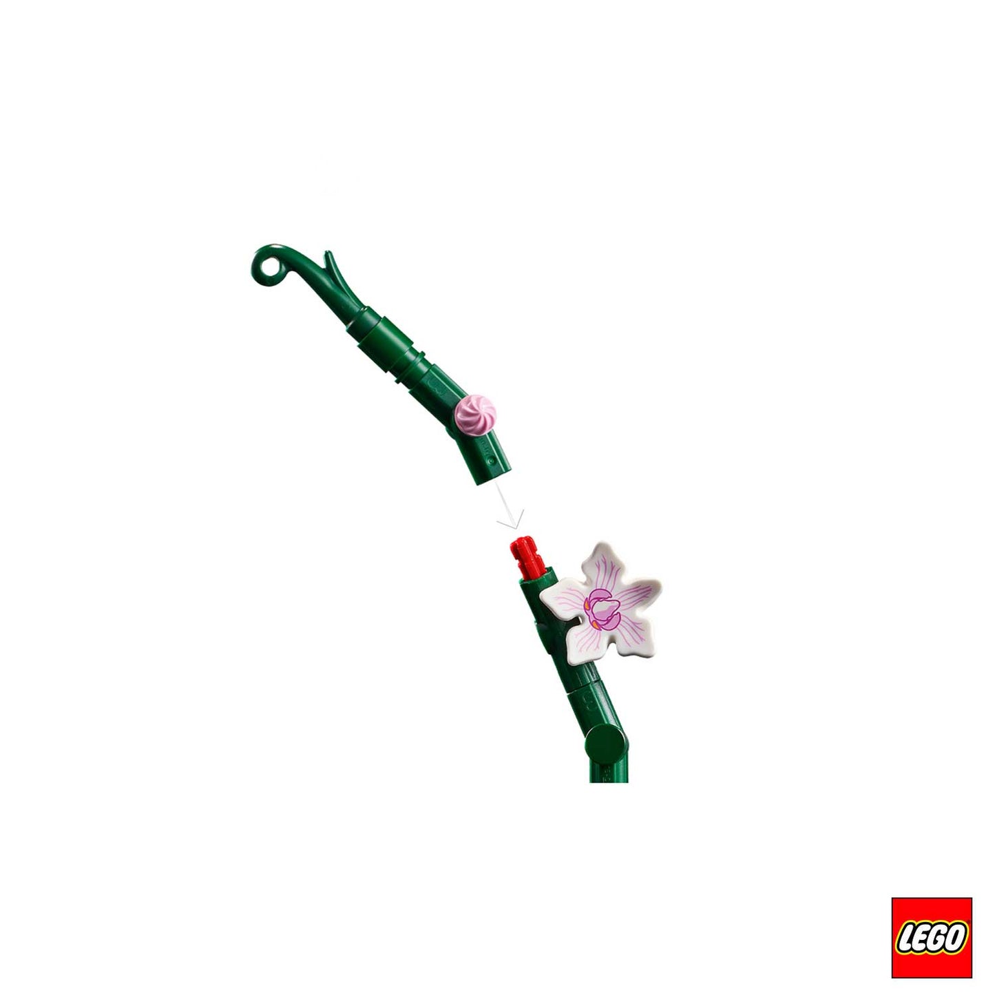 Lego - Creator Expert LEGO Orchidea 10311