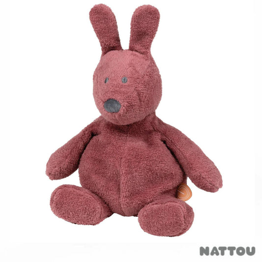 Nattou Peluche Bonnie Biscotto